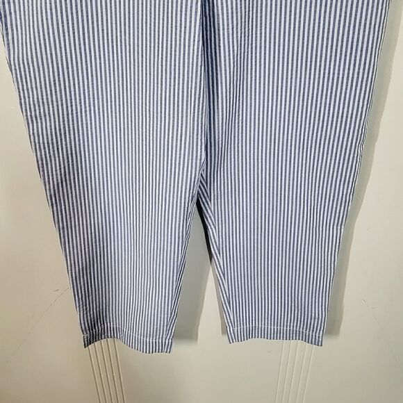 Talbots Blue & White Crop Pants - Picture 6 of 10
